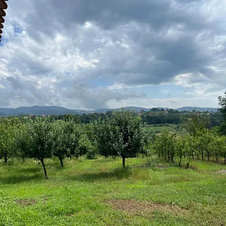 Kucica In * Mionica